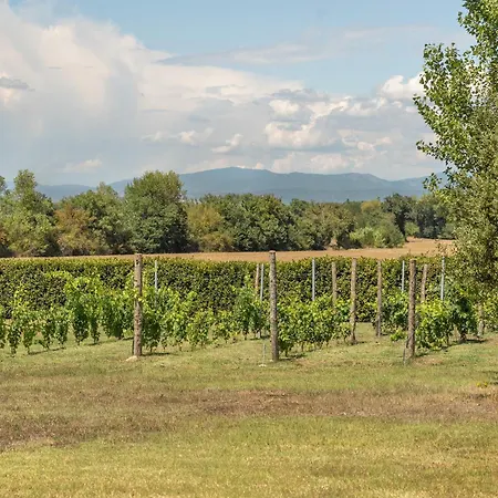 Antico Tabaccaio - Luxury In Umbrian Countryside 度假居 *